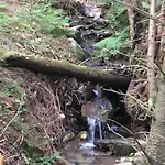 Chalet Borowkowa Dolina Lądek-Zdrój