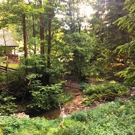 Chalet Borowkowa Dolina *