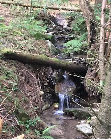 Chalet Borowkowa Dolina Lądek-Zdrój