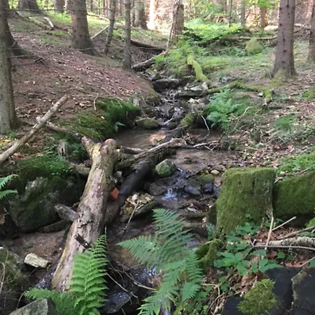 Borowkowa Dolina Lądek-Zdrój