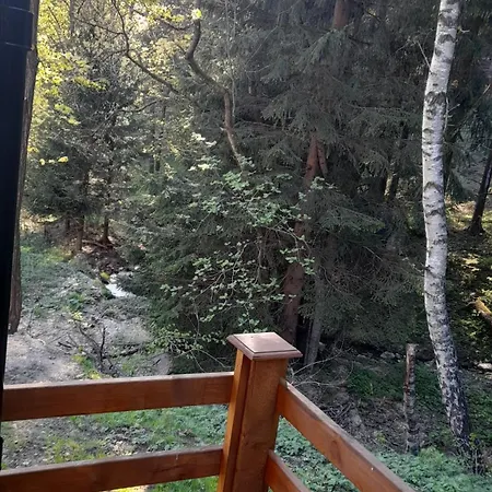 Horská chata Borowkowa Dolina