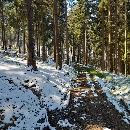 Chalet Borowkowa Dolina Lądek-Zdrój