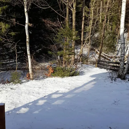 Horská chata Borowkowa Dolina *