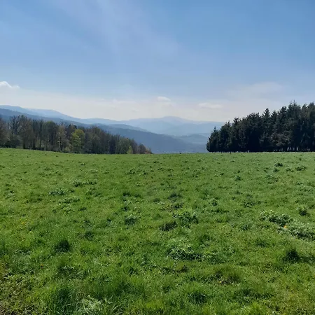 Borowkowa Dolina Lądek-Zdrój