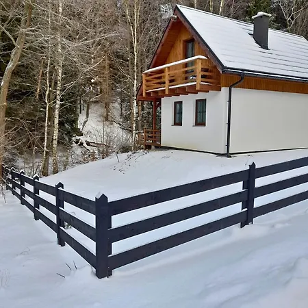 Borówkowa Dolina *