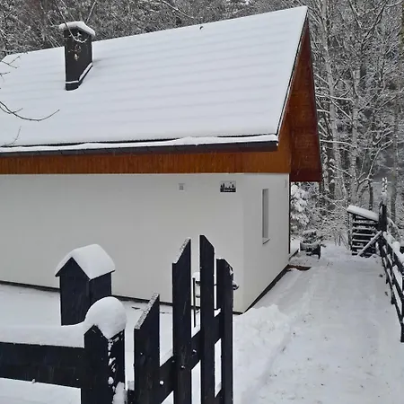 Borowkowa Dolina Lądek-Zdrój