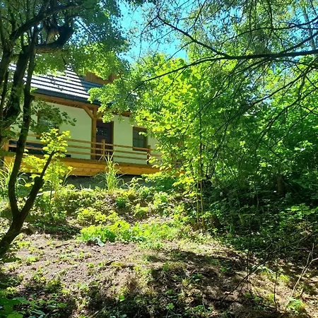 Alpehytte Borowkowa Dolina Lądek-Zdrój