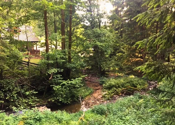 Alpstuga Borowkowa Dolina *