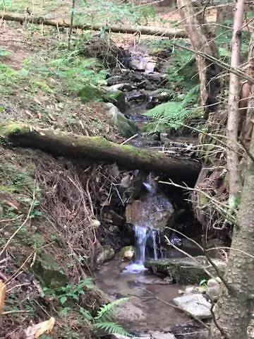Alpstuga Borowkowa Dolina Lądek-Zdrój
