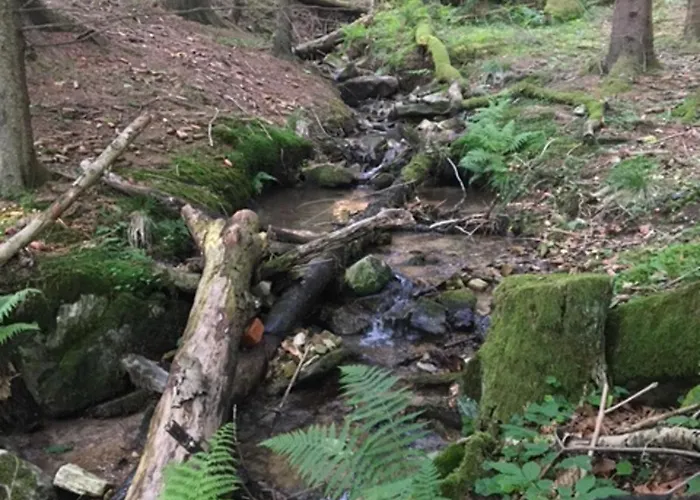 Borowkowa Dolina Lądek-Zdrój