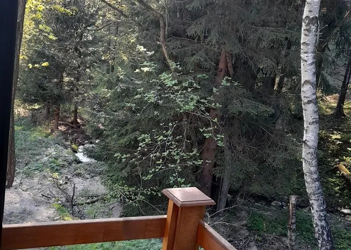 Alpstuga Borowkowa Dolina