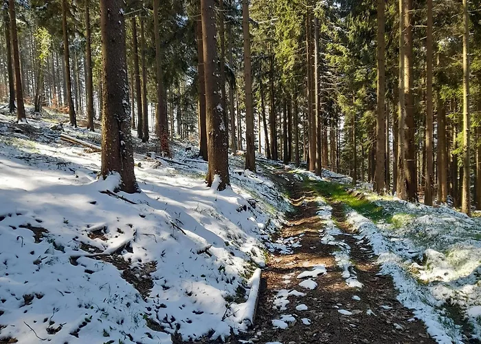 Alpstuga Borowkowa Dolina Lądek-Zdrój