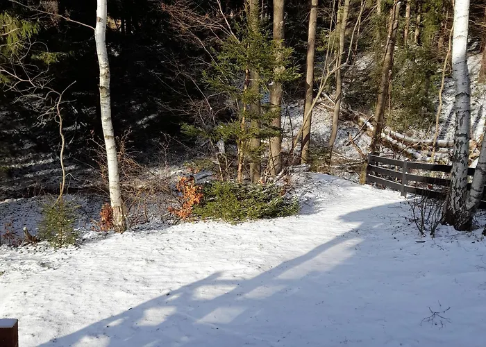 Alpstuga Borowkowa Dolina *