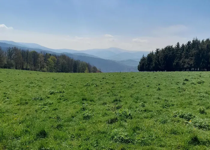 Borowkowa Dolina Lądek-Zdrój